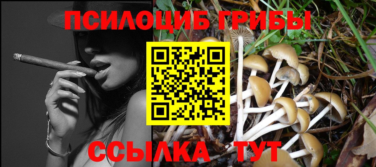 Псилоцибиновые грибы мицелий Златоуст