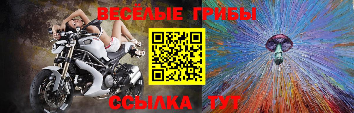 Псилоцибиновые грибы Cubensis  Галлюциногенные грибы GOLDEN TEACHER  Златоуст  Вход с VPN 